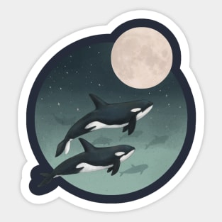 Moonlight Caravan Sticker